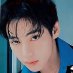 btsv22066