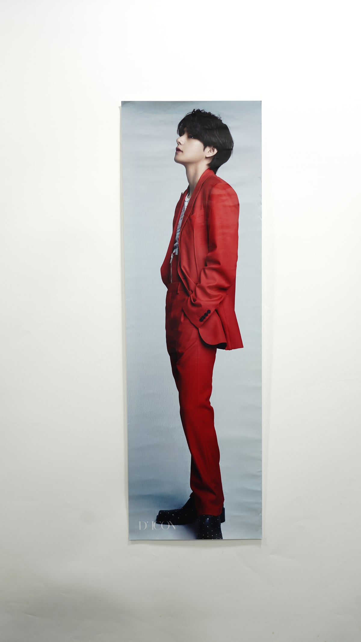 D'Icon Vol. 10 Official Posters